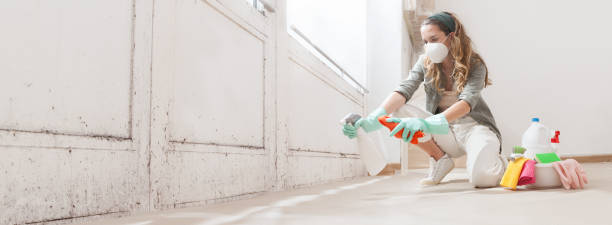 Trusted Lexington, TX Mold Inspection, Removal & Remediation Experts